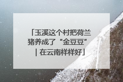 玉溪这个村把荷兰猪养成了“金豆豆”｜在云南样样好