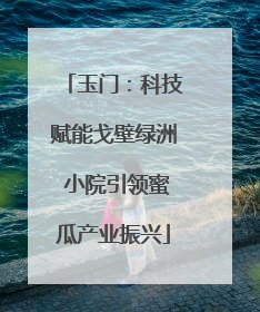 玉门：科技赋能戈壁绿洲 小院引领蜜瓜产业振兴