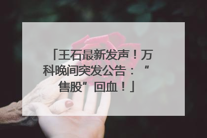 王石最新发声！万科晚间突发公告：“售股”回血！