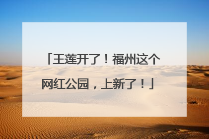 王莲开了！福州这个网红公园，上新了！