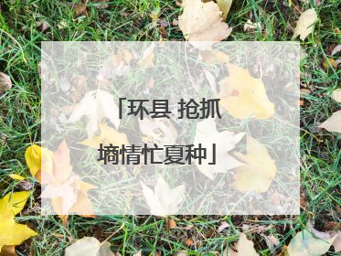 环县 抢抓墒情忙夏种