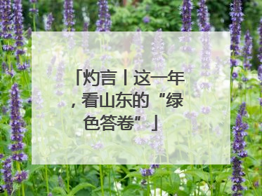 灼言丨这一年，看山东的“绿色答卷”