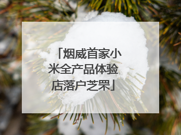 烟威首家小米全产品体验店落户芝罘