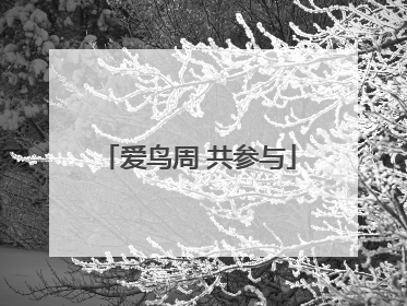 爱鸟周 共参与