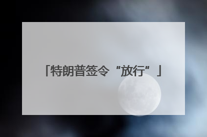 特朗普签令“放行”