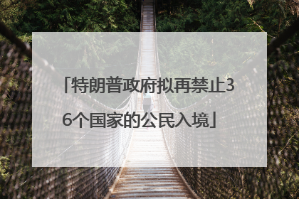 特朗普政府拟再禁止36个国家的公民入境