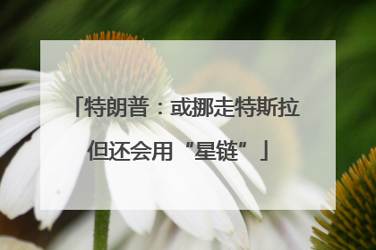 特朗普：或挪走特斯拉 但还会用“星链”