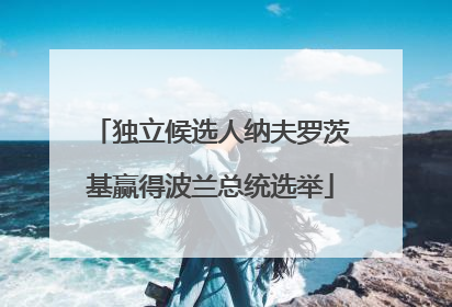 独立候选人纳夫罗茨基赢得波兰总统选举