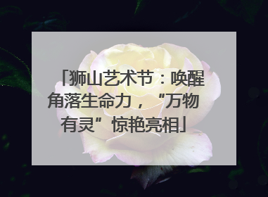 狮山艺术节：唤醒角落生命力，“万物有灵”惊艳亮相