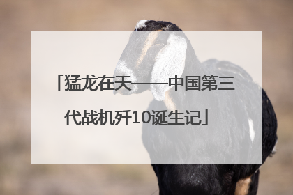 猛龙在天——中国第三代战机歼10诞生记