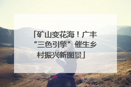 矿山变花海！广丰“三色引擎”催生乡村振兴新图景