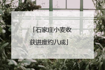 石家庄小麦收获进度约八成