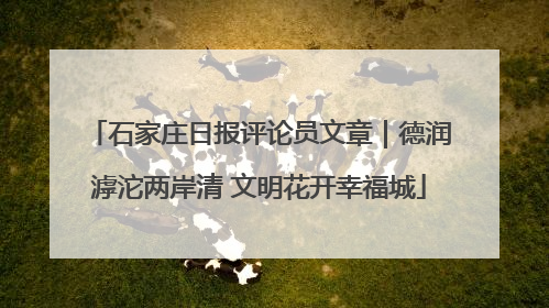 石家庄日报评论员文章｜德润滹沱两岸清 文明花开幸福城