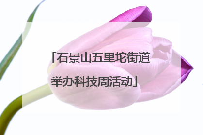 石景山五里坨街道举办科技周活动