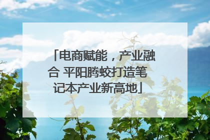 电商赋能，产业融合 平阳腾蛟打造笔记本产业新高地