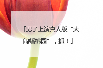 男子上演真人版“大闹蟠桃园”，抓！
