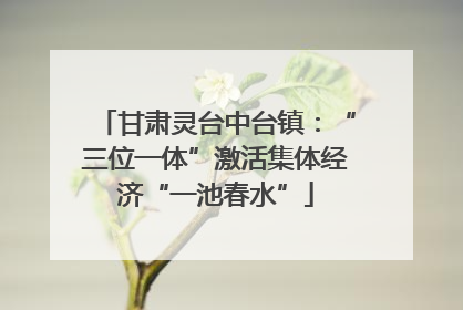 甘肃灵台中台镇：“三位一体”激活集体经济“一池春水”