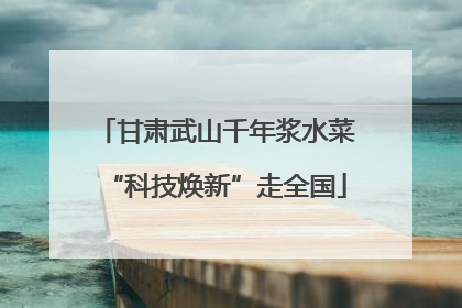 甘肃武山千年浆水菜“科技焕新”走全国