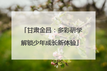 甘肃金昌：多彩研学解锁少年成长新体验