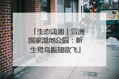生态潇湘｜萱洲国家湿地公园：新生鹭鸟振翅欲飞
