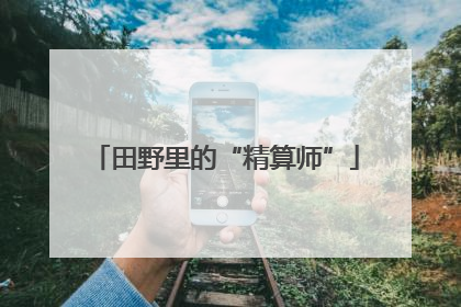 田野里的“精算师”