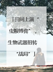 田间上演“虫粮博弈”，生物武器扭转“战局”