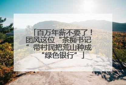 百万年薪不要了！团风这位“茶痴书记”带村民把荒山种成“绿色银行”