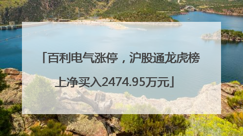 百利电气涨停，沪股通龙虎榜上净买入2474.95万元