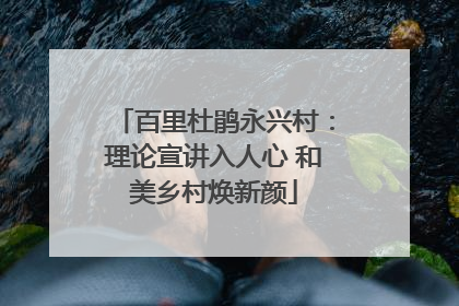 百里杜鹃永兴村：理论宣讲入人心 和美乡村焕新颜
