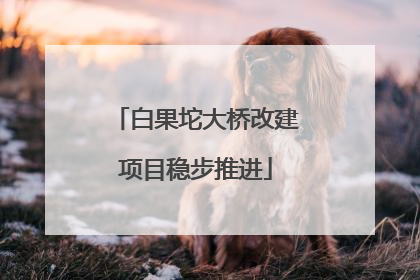 白果坨大桥改建项目稳步推进