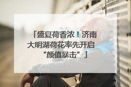 盛夏荷香浓！济南大明湖荷花率先开启“颜值暴击”