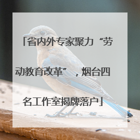 省内外专家聚力“劳动教育改革”，烟台四名工作室揭牌落户