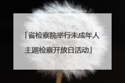 省检察院举行未成年人主题检察开放日活动