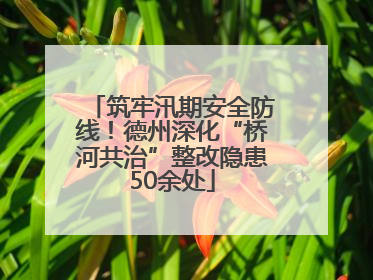 筑牢汛期安全防线！德州深化“桥河共治”整改隐患50余处