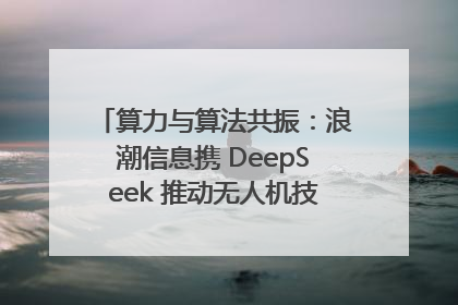 算力与算法共振：浪潮信息携 DeepSeek 推动无人机技术在舟山落地