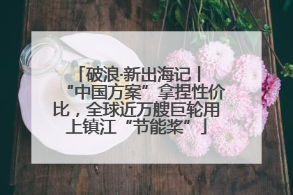破浪·新出海记丨 “中国方案”拿捏性价比，全球近万艘巨轮用上镇江“节能桨”