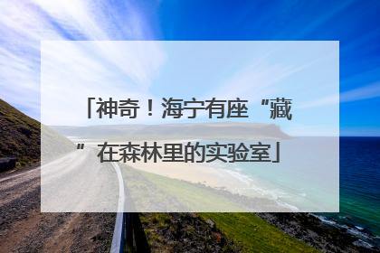 神奇！海宁有座“藏”在森林里的实验室