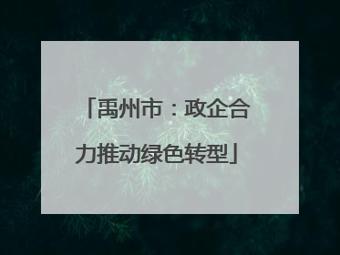 禹州市：政企合力推动绿色转型