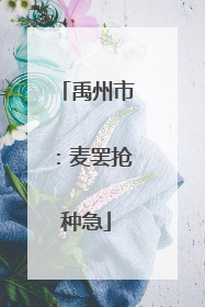 禹州市：麦罢抢种急