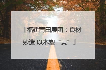 福建莆田展团：良材妙造 以木塑“灵”