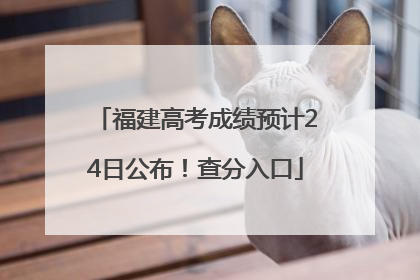 福建高考成绩预计24日公布！查分入口