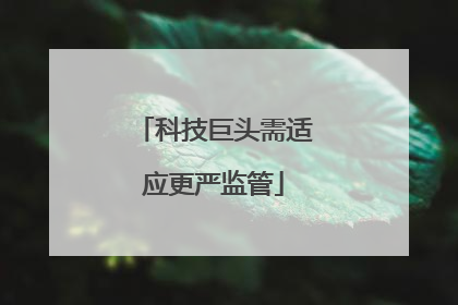 科技巨头需适应更严监管