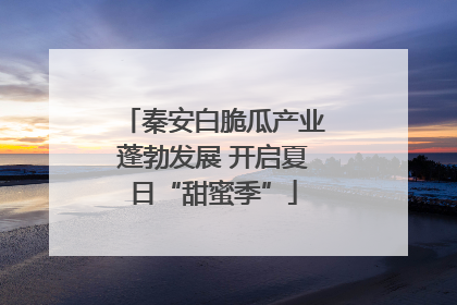 秦安白脆瓜产业蓬勃发展 开启夏日“甜蜜季”