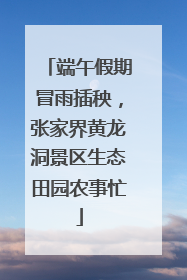 端午假期冒雨插秧，张家界黄龙洞景区生态田园农事忙