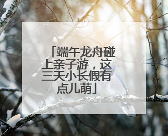 端午龙舟碰上亲子游，这三天小长假有点儿萌