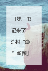 第一书记来了：荒村“焕”新颜