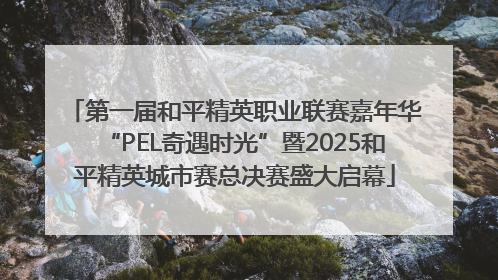 第一届和平精英职业联赛嘉年华“PEL奇遇时光”暨2025和平精英城市赛总决赛盛大启幕
