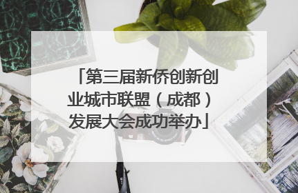 第三届新侨创新创业城市联盟（成都）发展大会成功举办