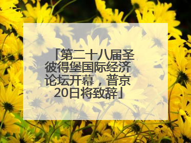 第二十八届圣彼得堡国际经济论坛开幕，普京20日将致辞