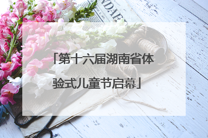 第十六届湖南省体验式儿童节启幕